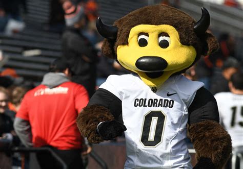 How Colorado Mascots Bring Community Pride
